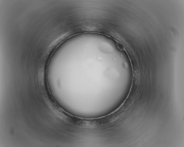 X0000114000442200910161713