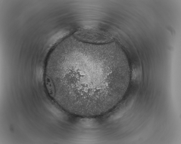 X0000114000444200910161713