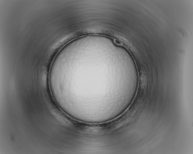 X0000114000446200910161713
