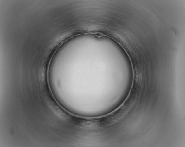 X0000114000447200910161713