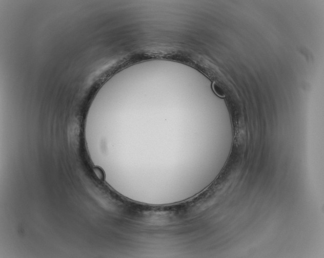 X0000114000448200910161713