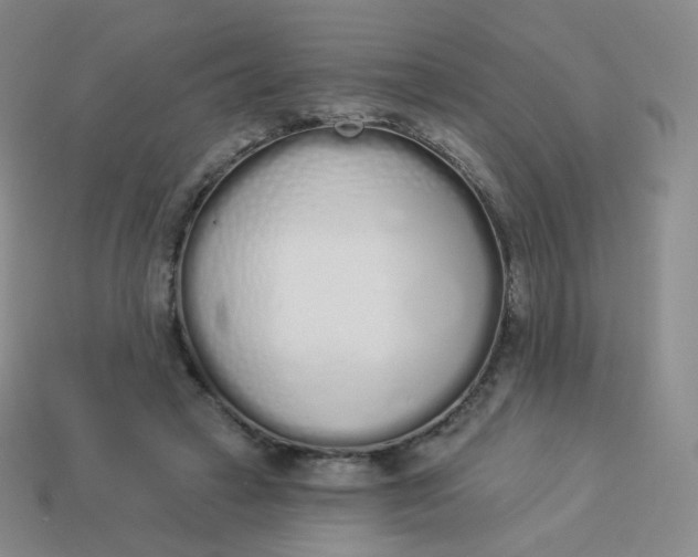 X0000114000449200910161713