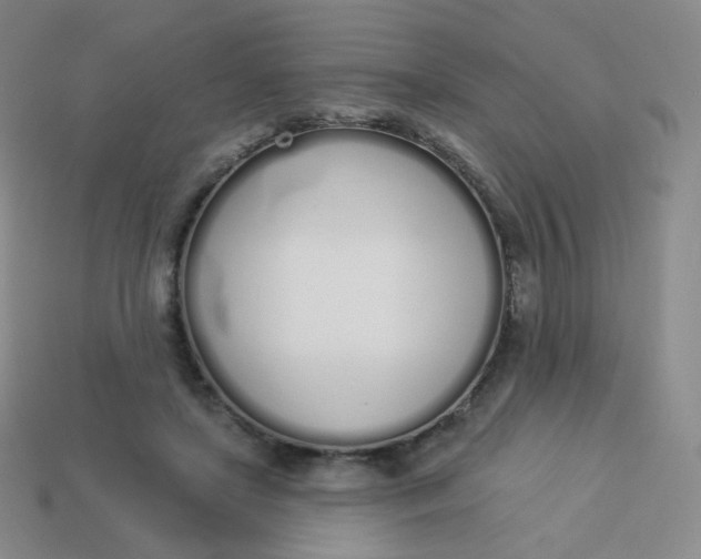 X0000114000451200910161713