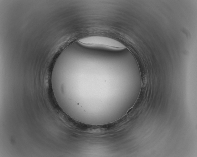 X0000114000452200910161713