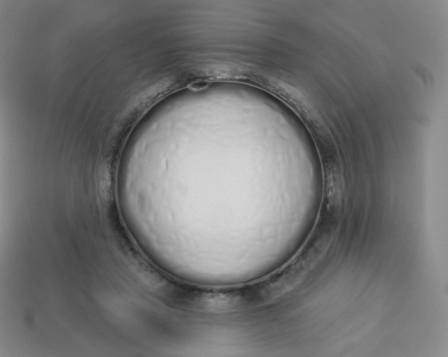 X0000114000453200910161713
