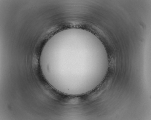 X0000114000456200910161713