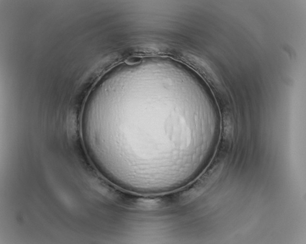 X0000114000457200910161713