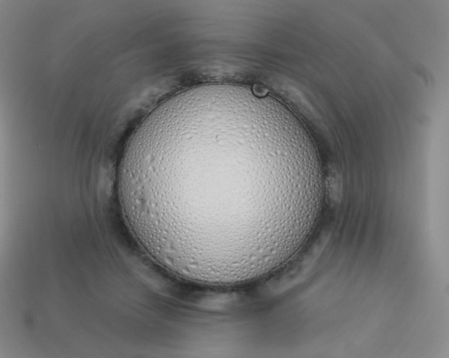 X0000114000458200910161713
