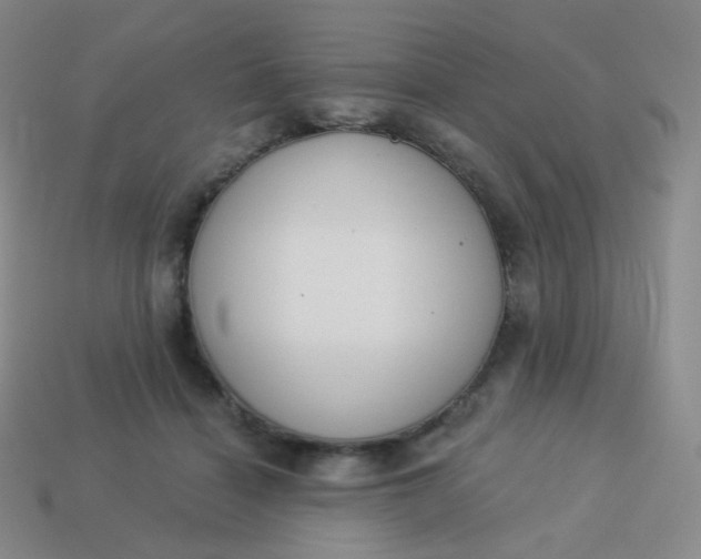 X0000114000460200910161713