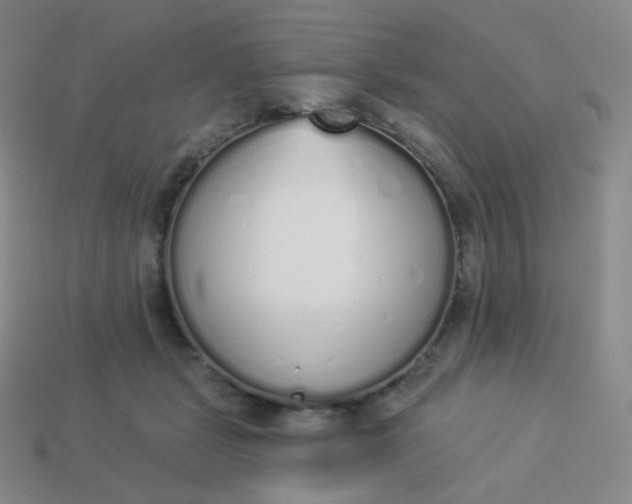 X0000114000461200910161713