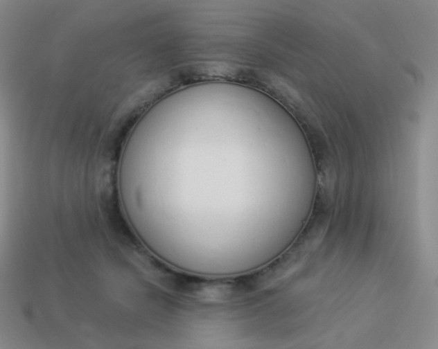 X0000114000462200910161713