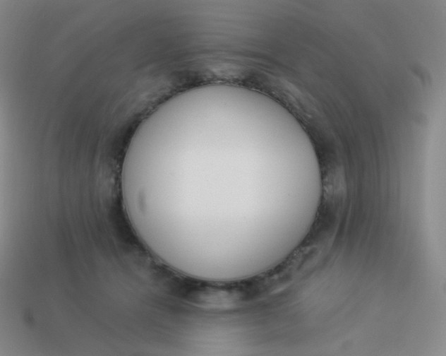 X0000114000464200910161713
