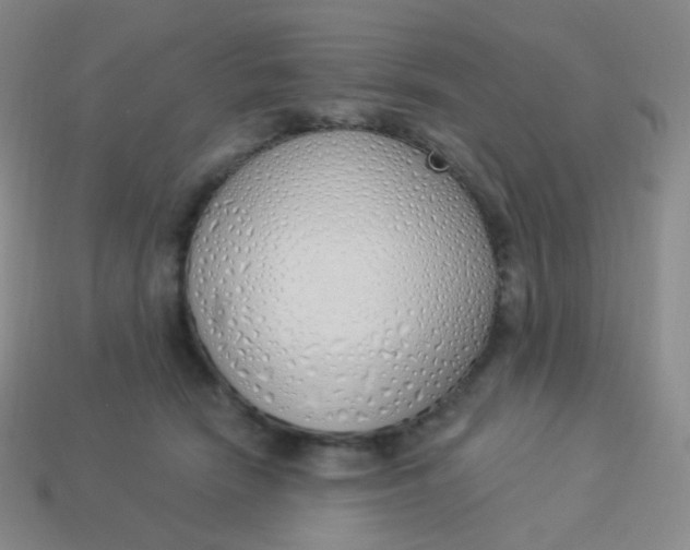 X0000114000466200910161713