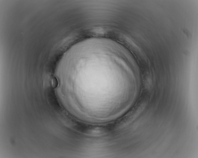 X0000114000467200910161713