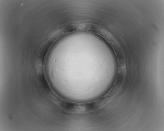 X0000114000469200910161713