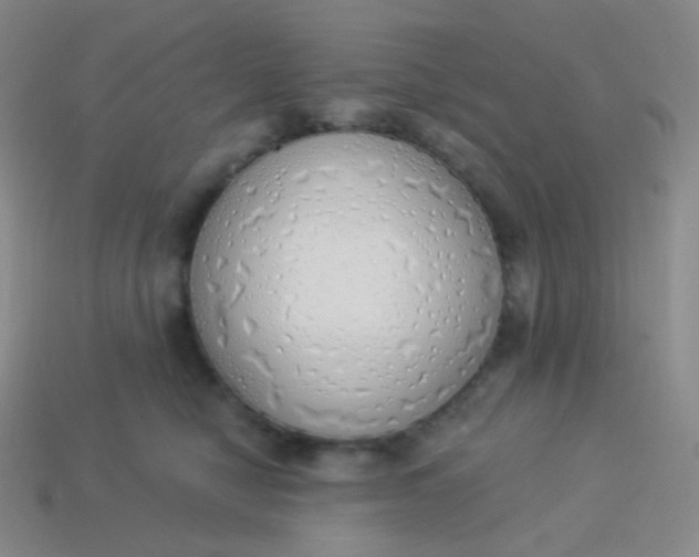 X0000114000470200910161713