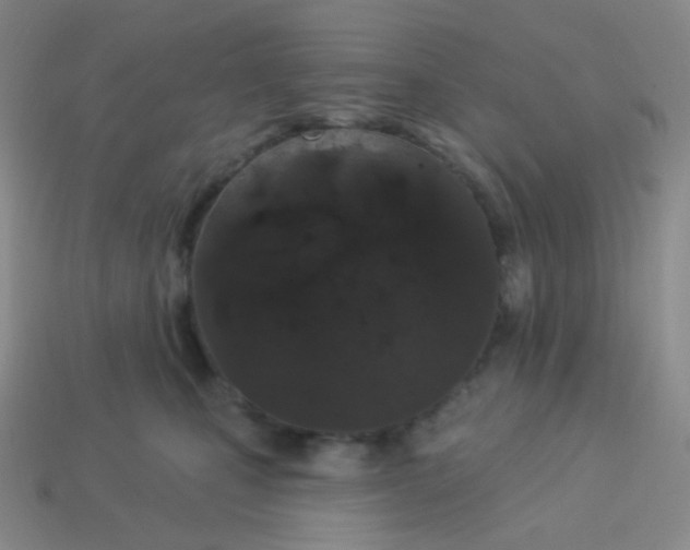 X0000114000471200910161713