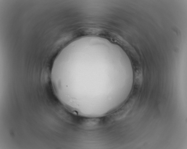 X0000114000474200910161713