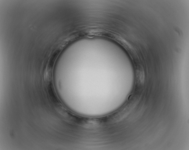 X0000114000475200910161713