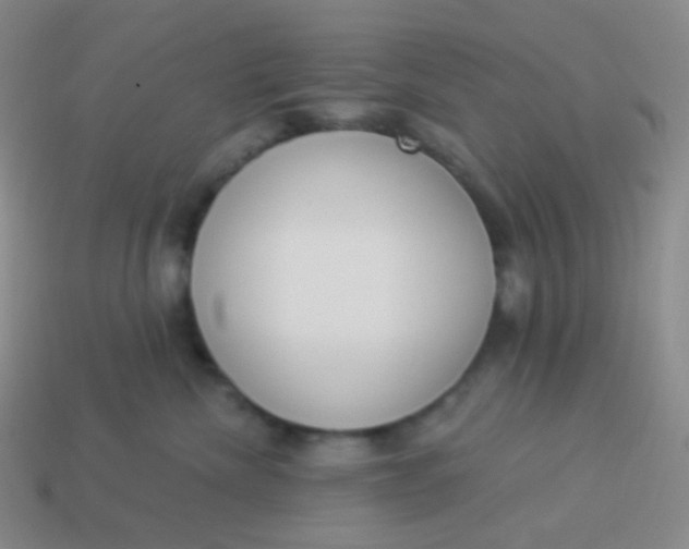 X0000114000476200910161713