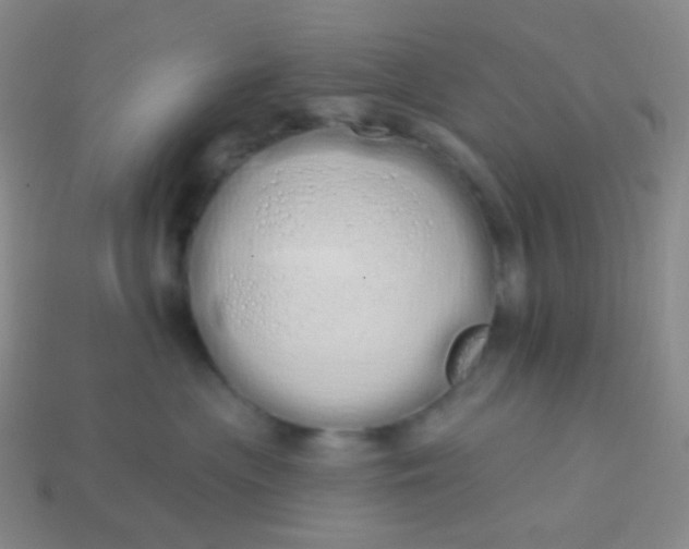 X0000114000477200910161713