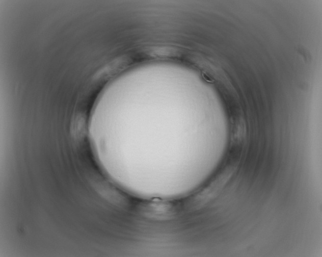 X0000114000478200910161713