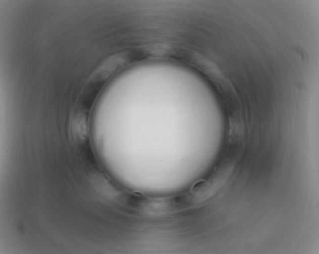 X0000114000479200910161713