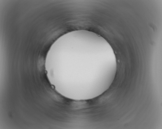 X0000114000480200910161713