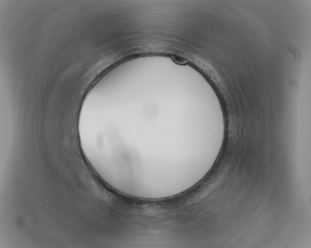 X0000114000481200910161713