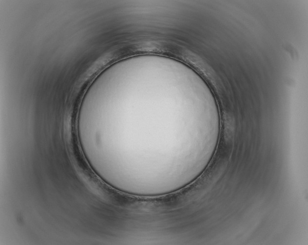 X0000114000482200910161713