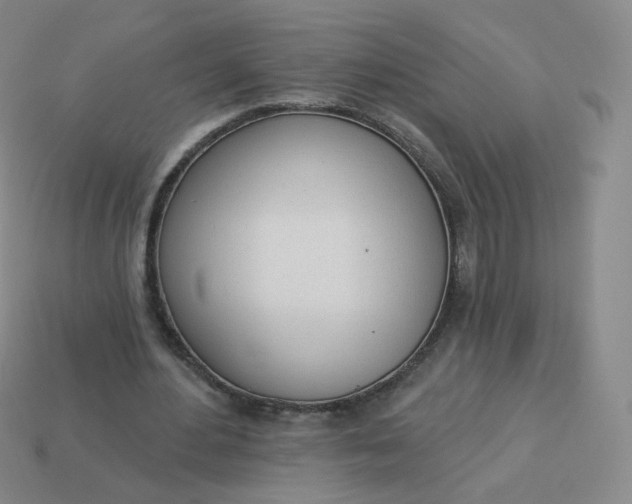 X0000114000484200910161712