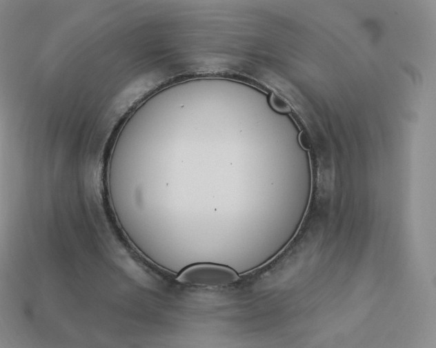 X0000114000485200910161712