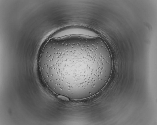 X0000114000488200910161712