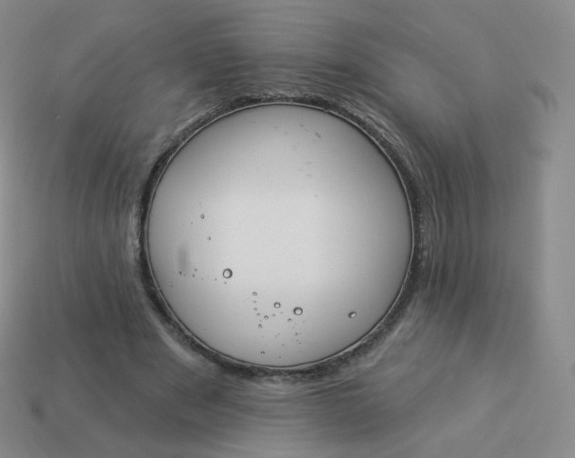 X0000114000489200910161712