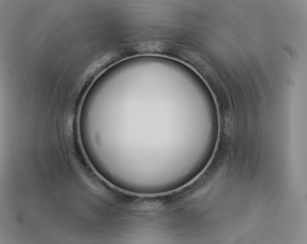 X0000114000491200910161712