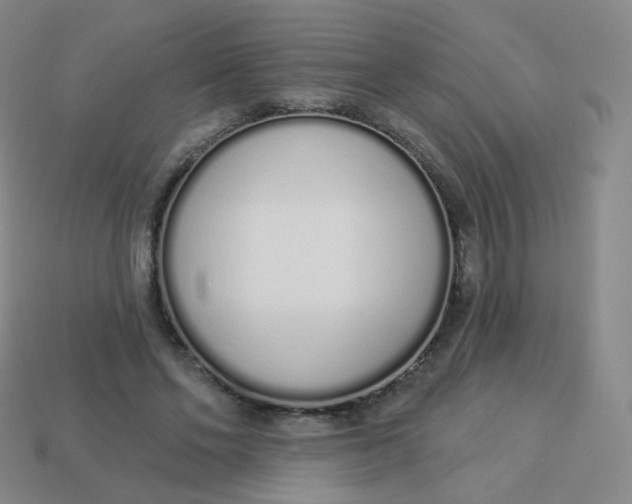 X0000114000494200910161712