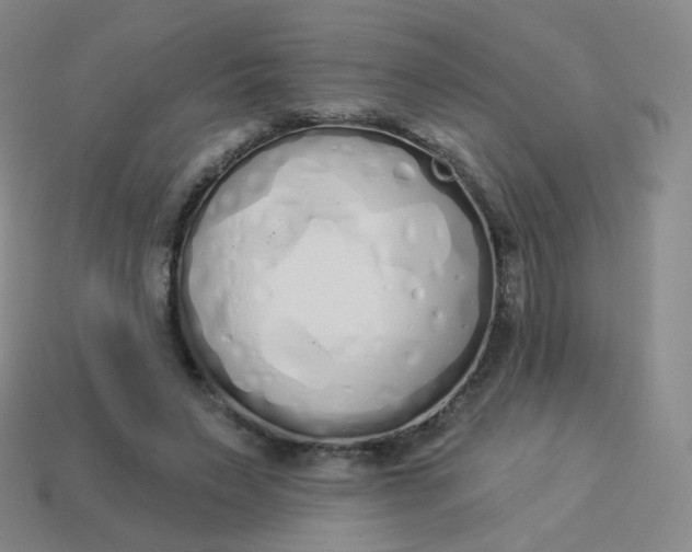 X0000114000495200910161712