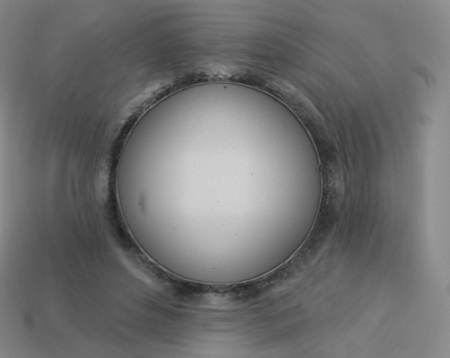X0000114000496200910161712
