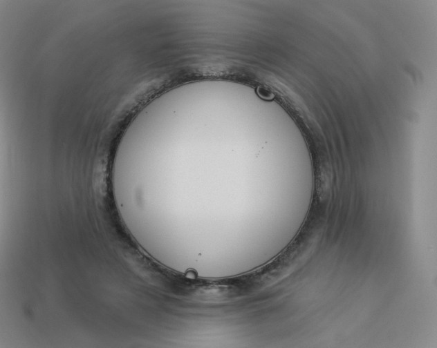X0000114000497200910161712