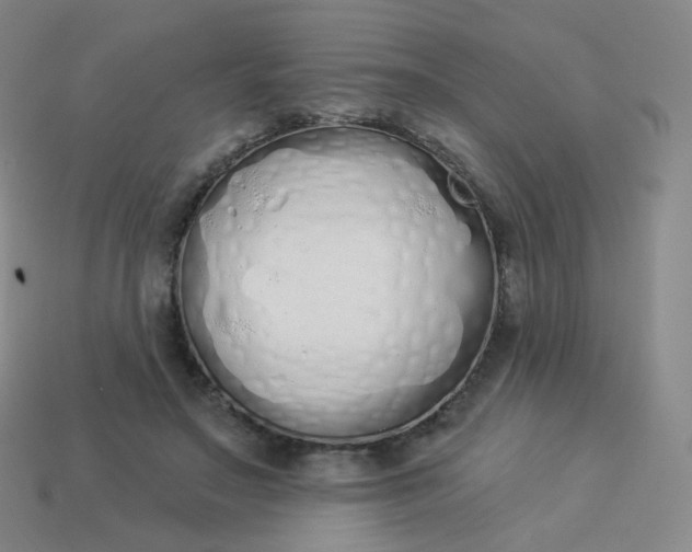 X0000114000499200910161712