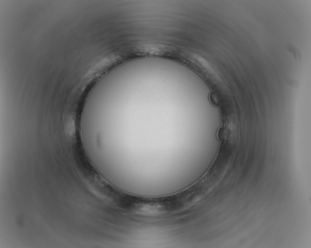 X0000114000500200910161712