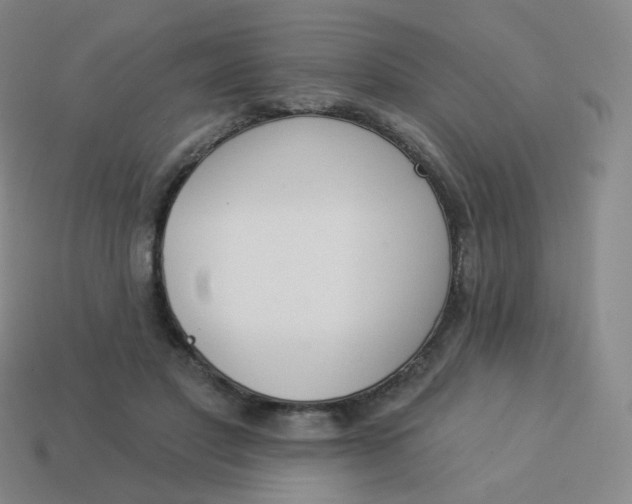 X0000114000501200910161712