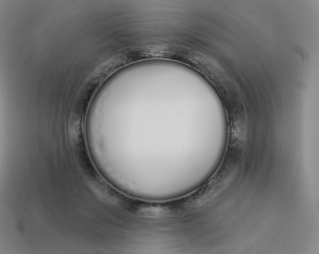 X0000114000503200910161712