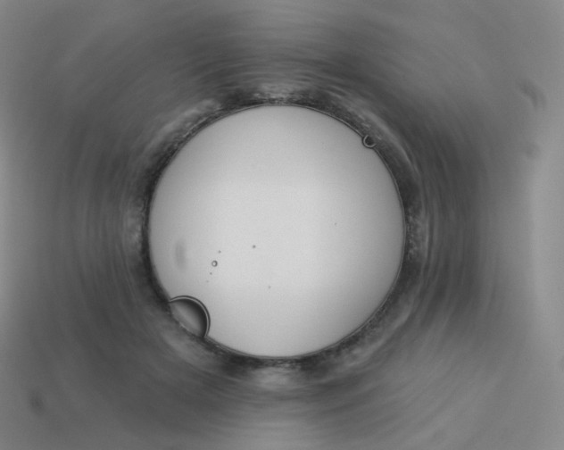 X0000114000505200910161712