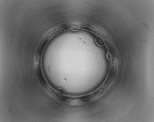 X0000114000507200910161712