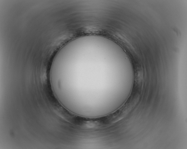 X0000114000508200910161712