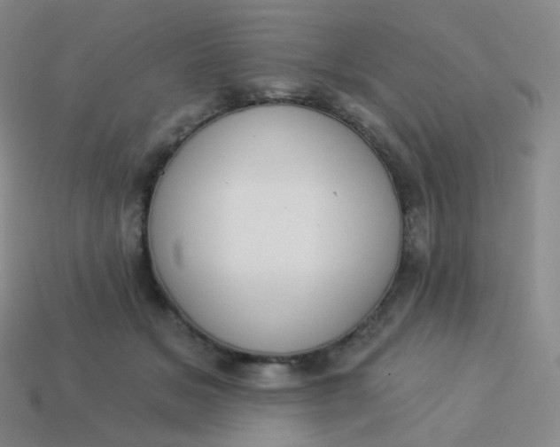 X0000114000509200910161712