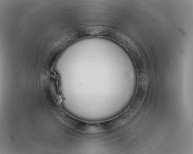 X0000114000510200910161712
