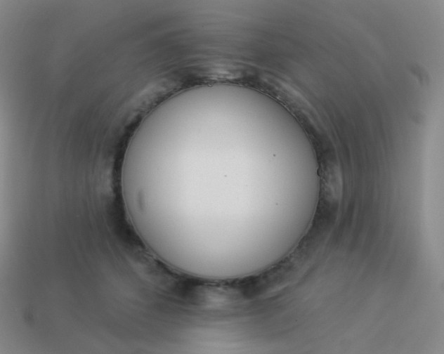 X0000114000512200910161712