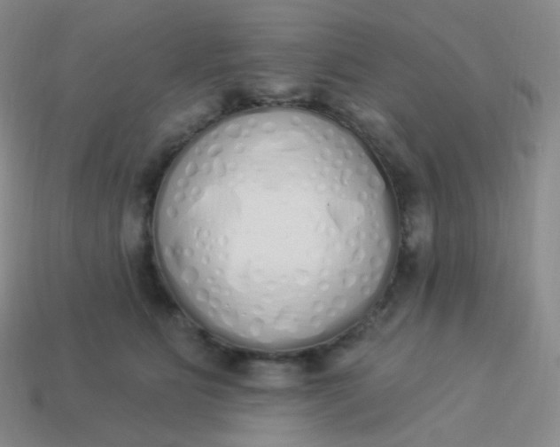 X0000114000515200910161712